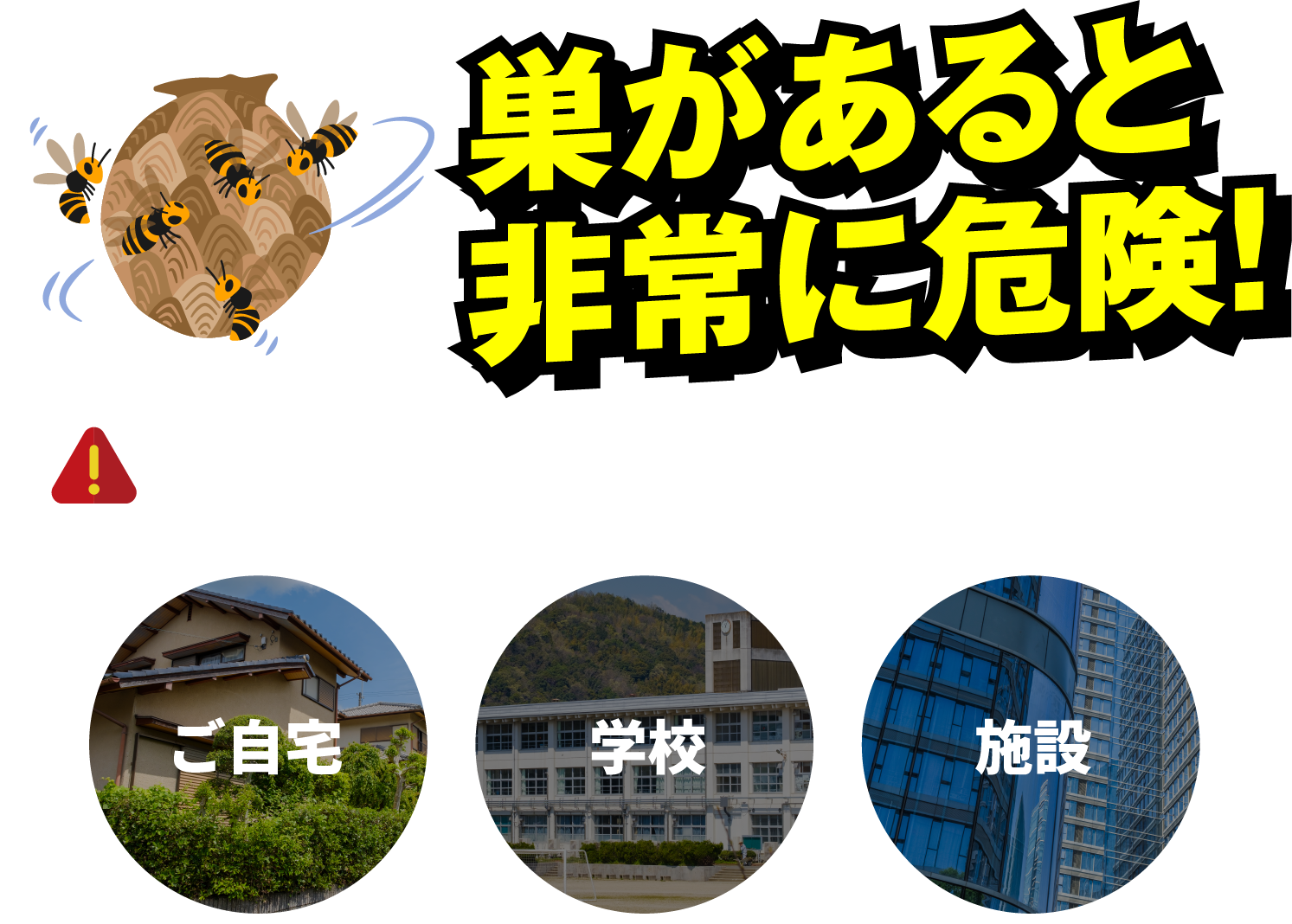 巣があると非常に危険！　刺されると命の危険に関わることもあります！