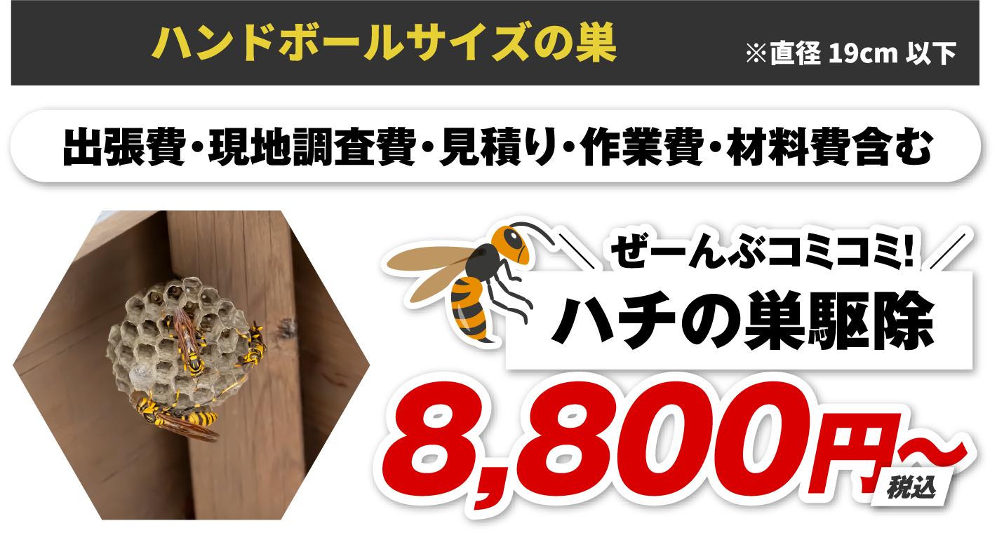 ハンドボールサイズの巣