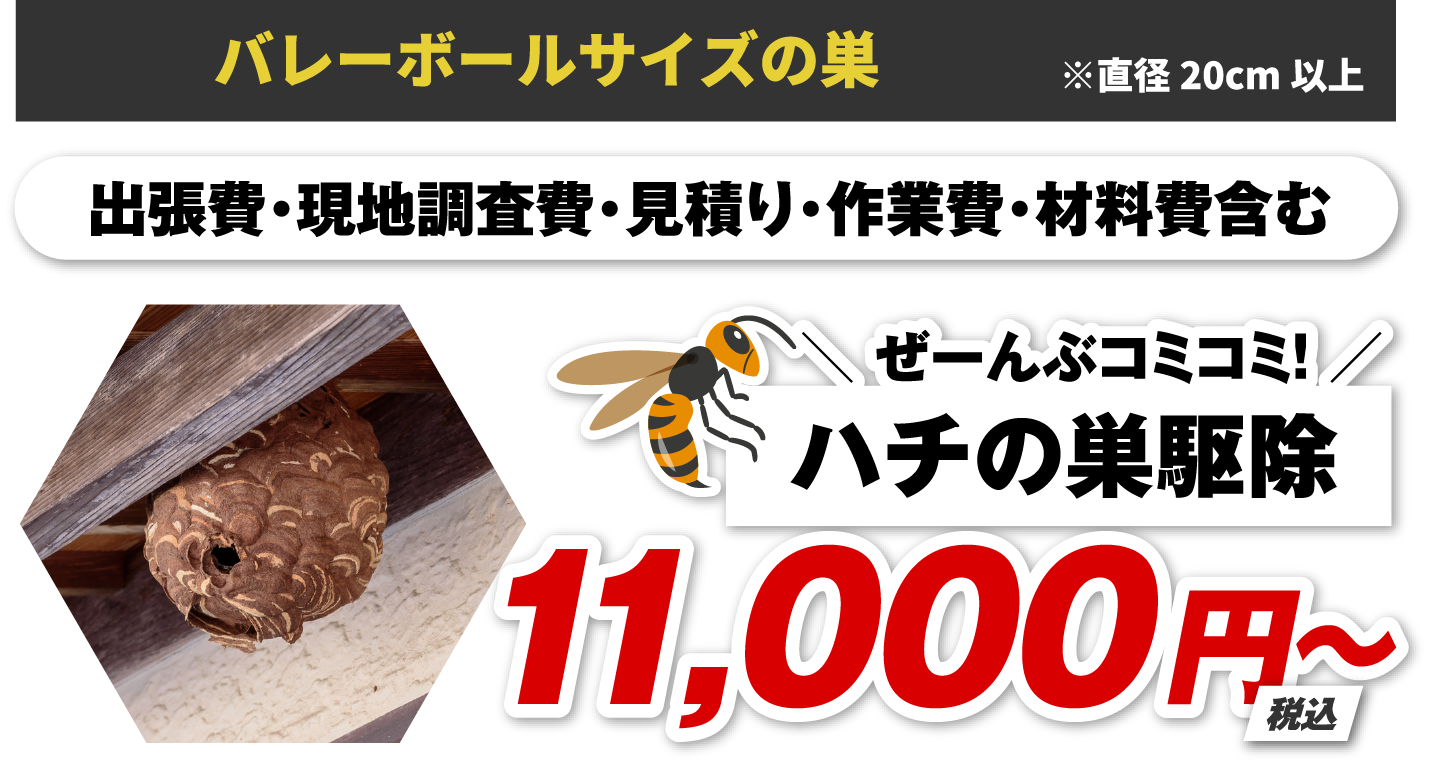 バレーボールサイズの巣