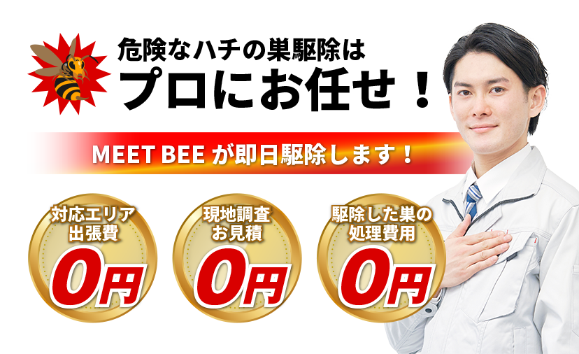 危険なハチの巣駆除はプロにお任せ! MEET BEEが即日駆除します!